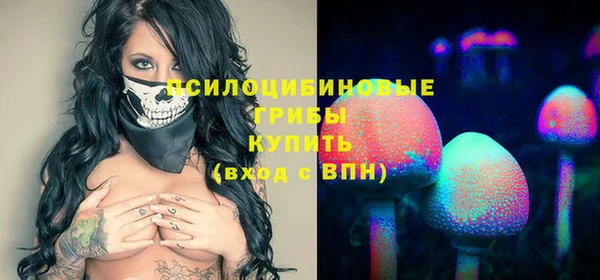 ECSTASY Армянск