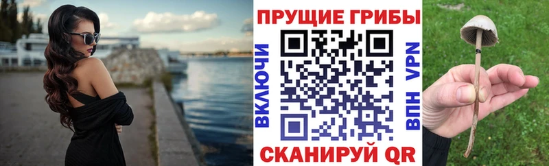 blacksprut вход Оха Псилоцибиновые грибы GOLDEN TEACHER