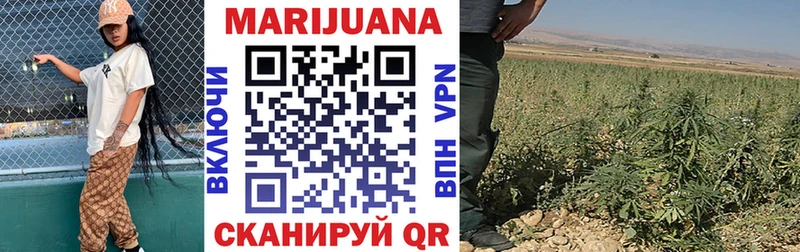 где продают   Оха  МАРИХУАНА VHQ 